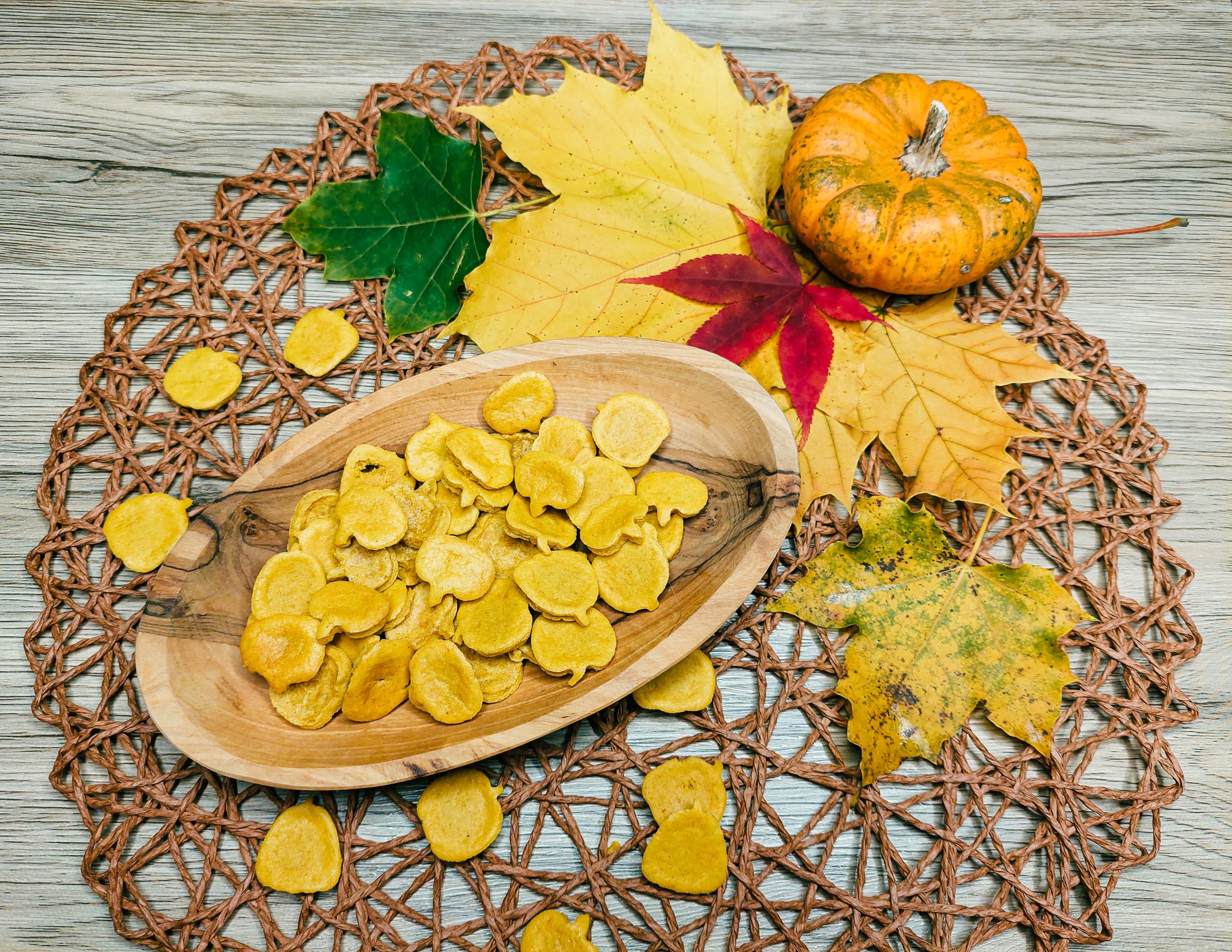 Halloween-Kürbisse - Ernährungsberatung für Hunde und Katzen